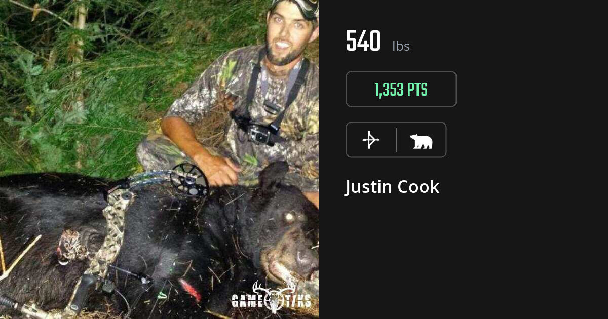 bear harvest by Justin Cook