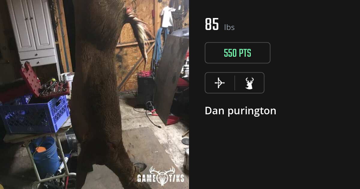 deer harvest by Dan purington