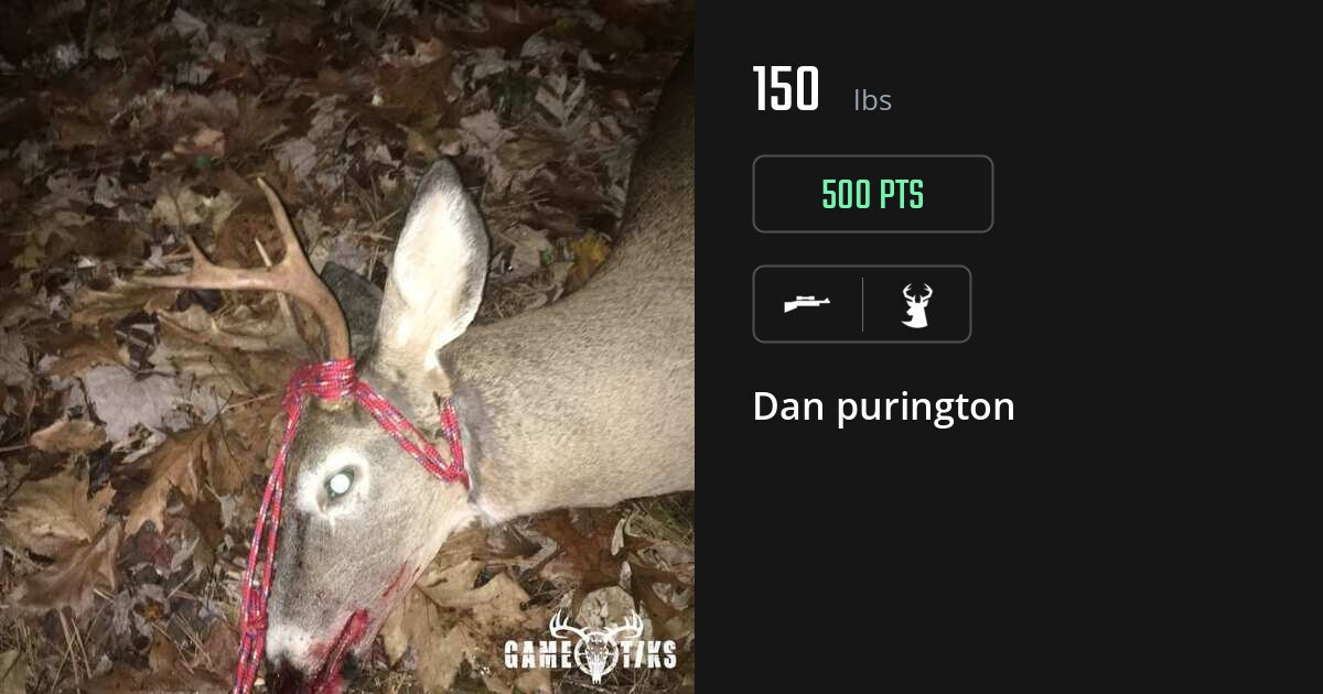 deer harvest by Dan purington
