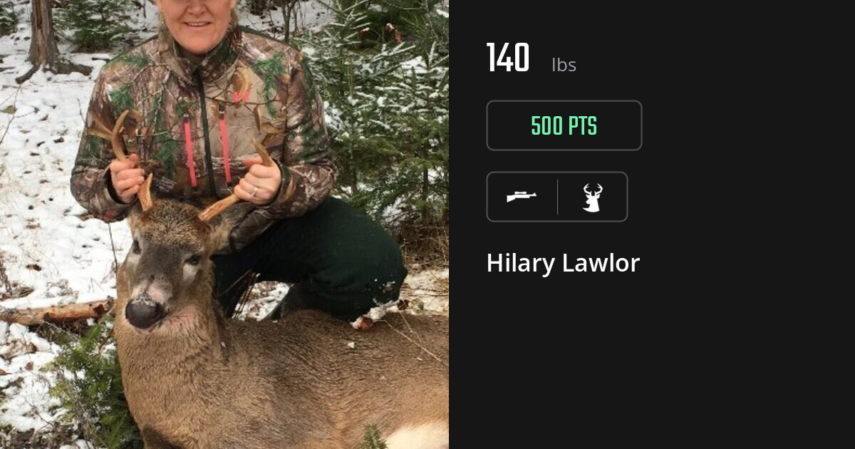 deer harvest by Hilary Lawlor