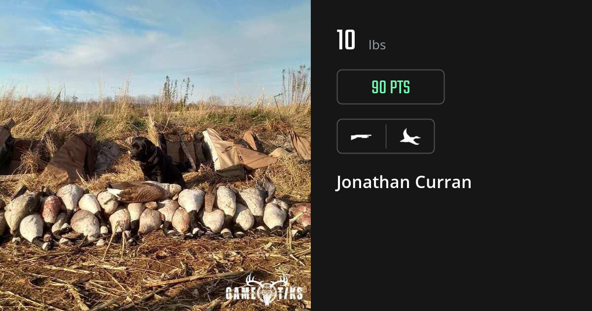 Waterfowl harvest on Gametiks