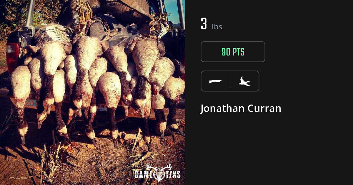 Waterfowl harvest on Gametiks