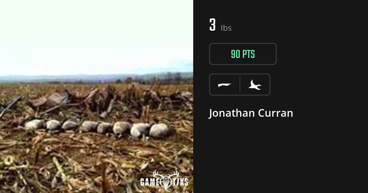 Waterfowl harvest on Gametiks