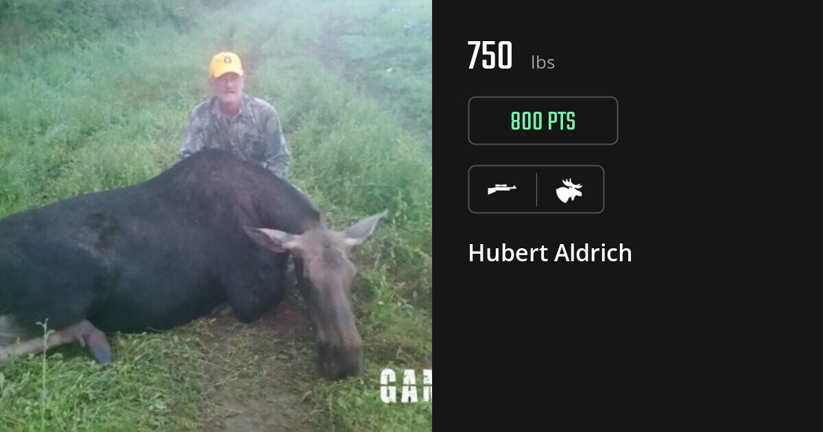 moose harvest by Hubert Aldrich