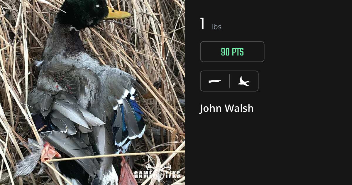 Waterfowl harvest on Gametiks