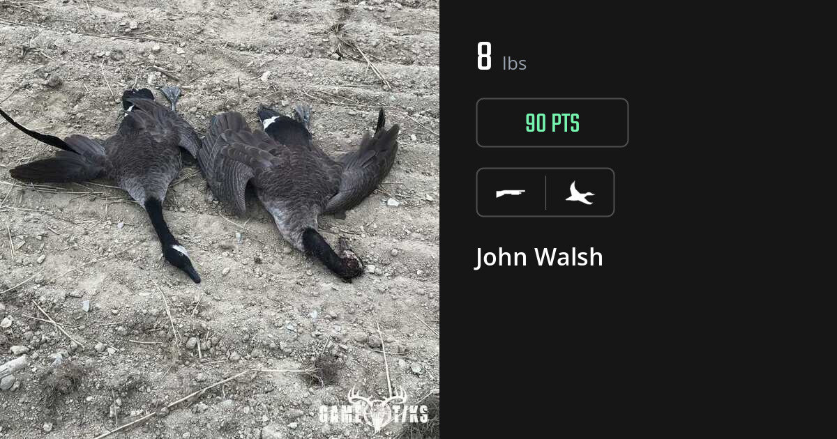 Waterfowl harvest on Gametiks