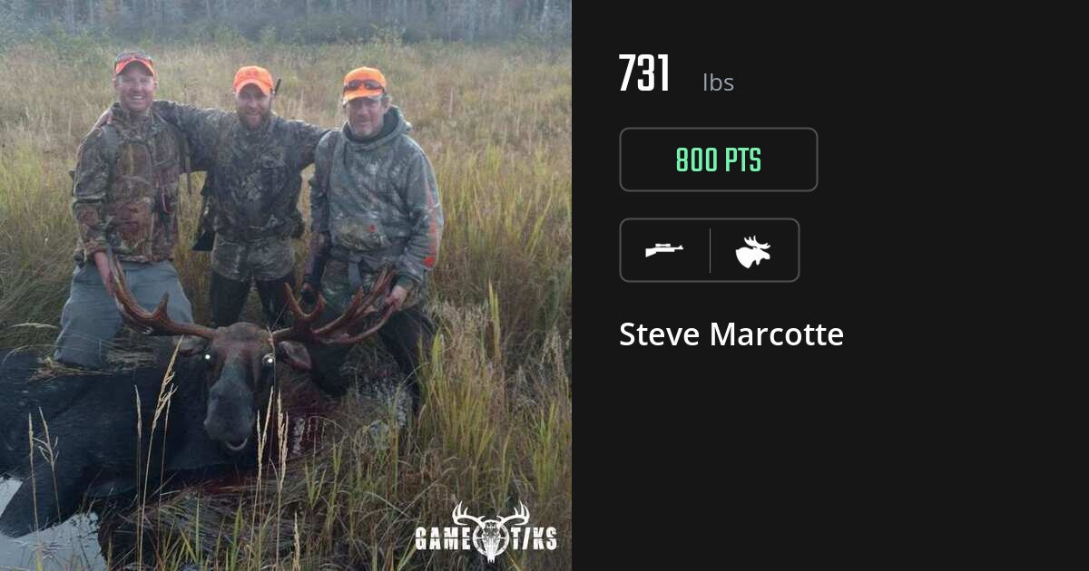 Moose harvest on Gametiks