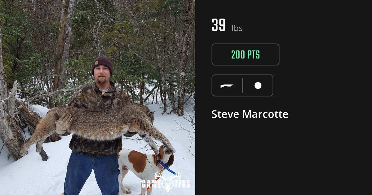 miscellaneous harvest by Steve Marcotte