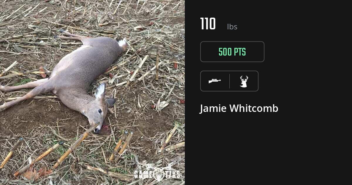 deer harvest by Jamie Whitcomb