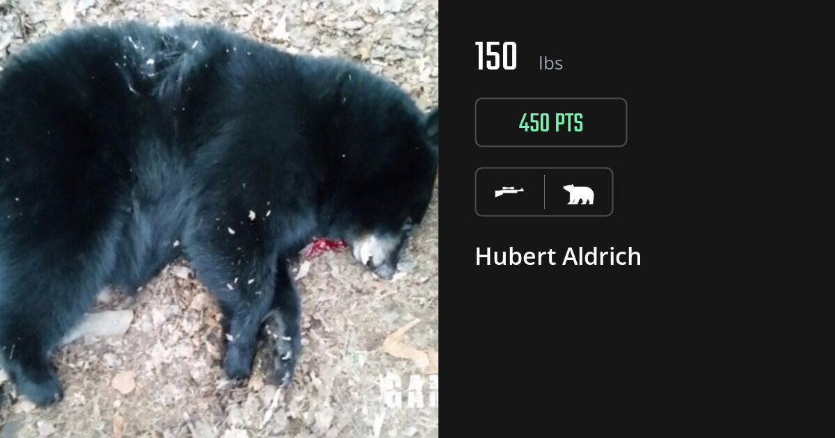 Bear harvest on Gametiks