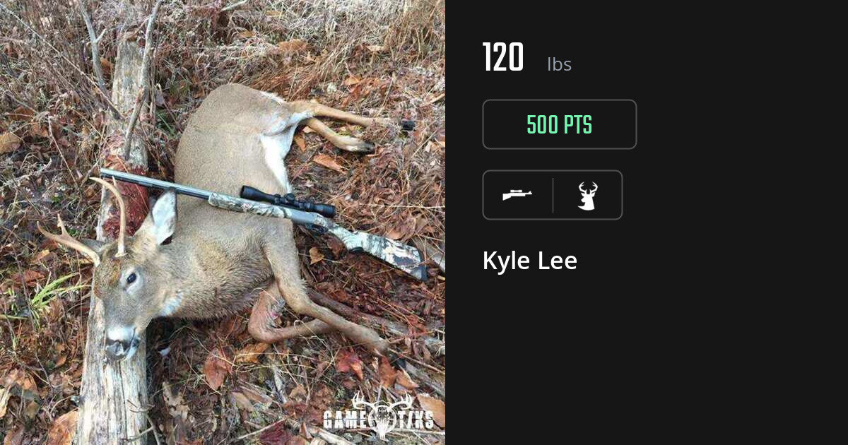 deer harvest by Kyle Lee