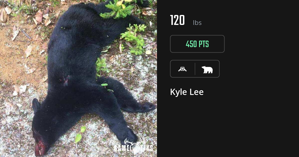 bear harvest by Kyle Lee