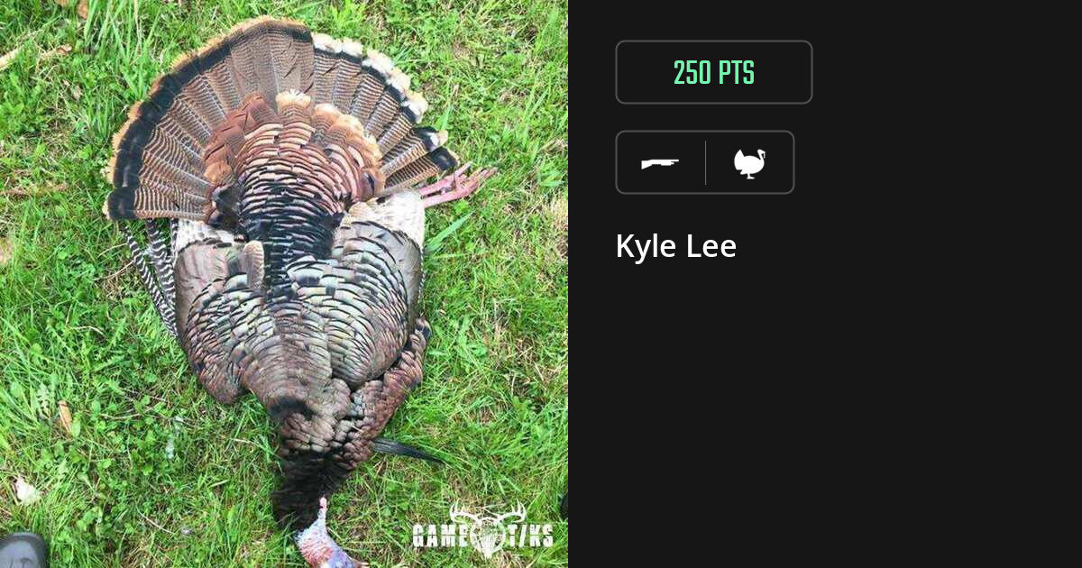 Turkey harvest on Gametiks
