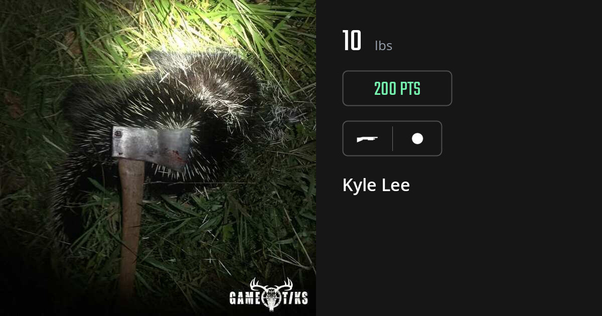 miscellaneous harvest by Kyle Lee