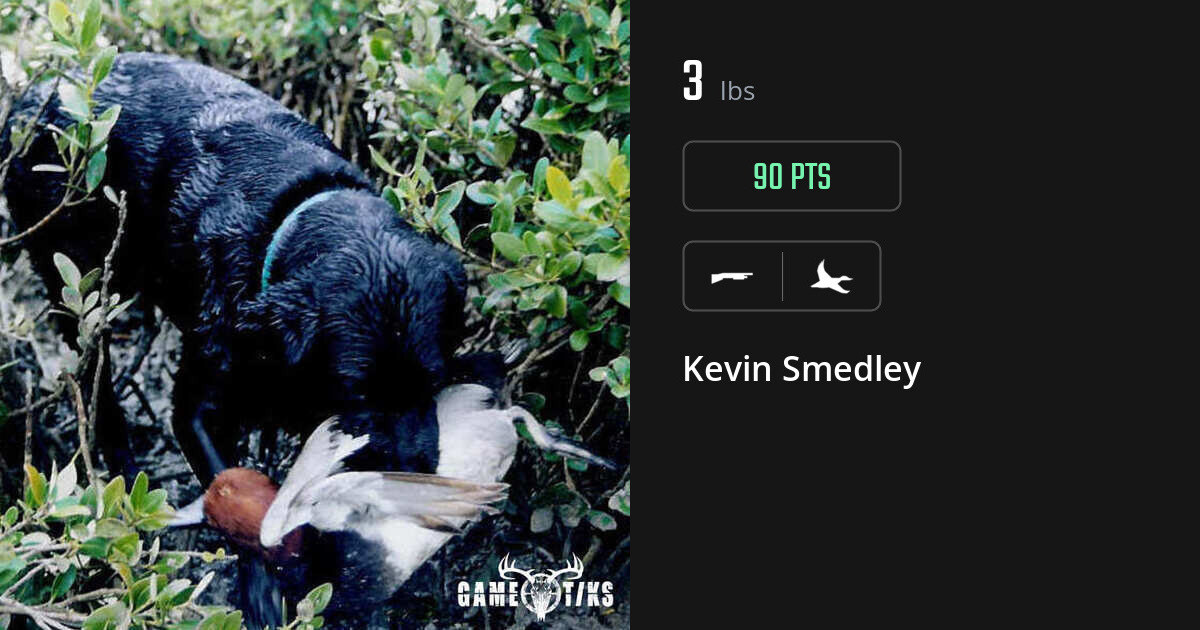 Waterfowl harvest on Gametiks