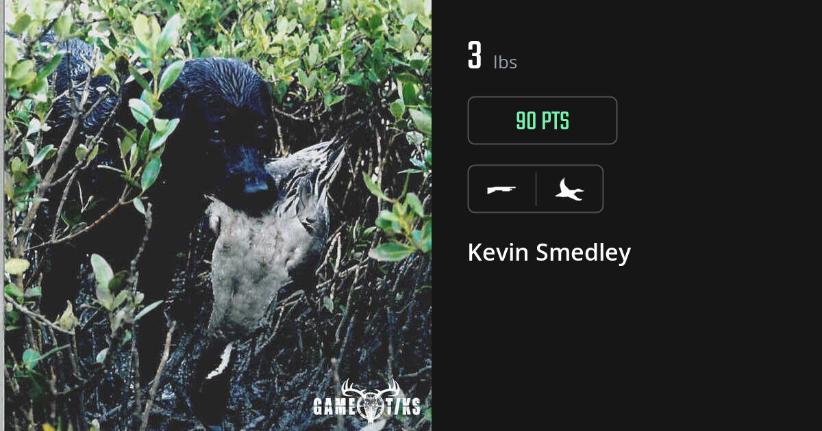 Waterfowl harvest on Gametiks