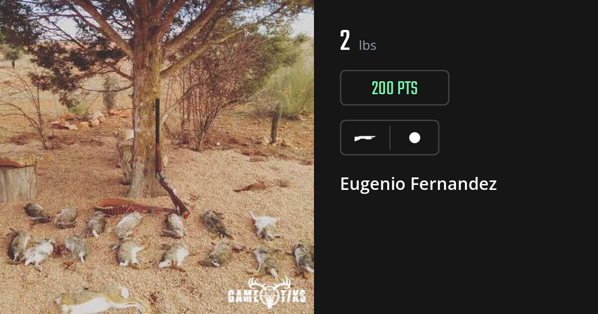 miscellaneous harvest by Eugenio Fernandez