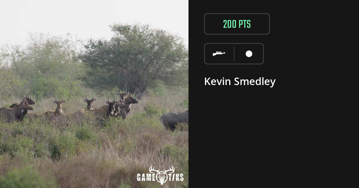 miscellaneous harvest by Kevin Smedley