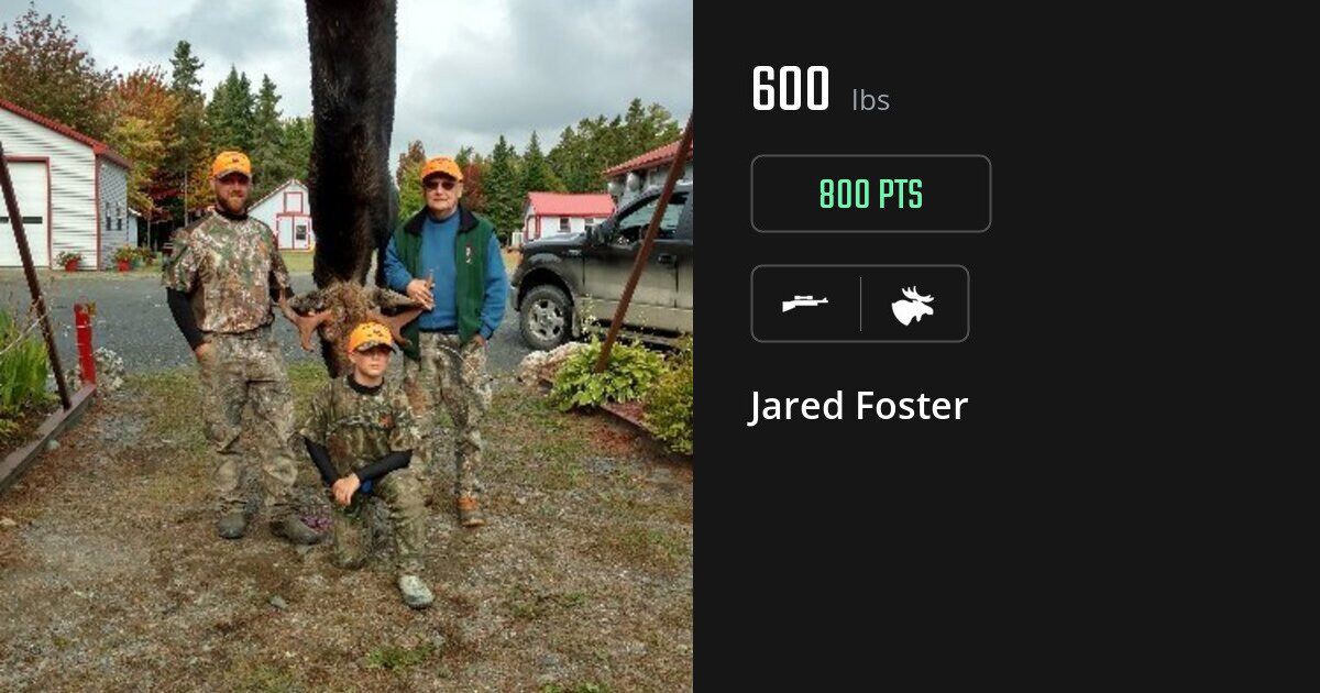 Moose harvest on Gametiks