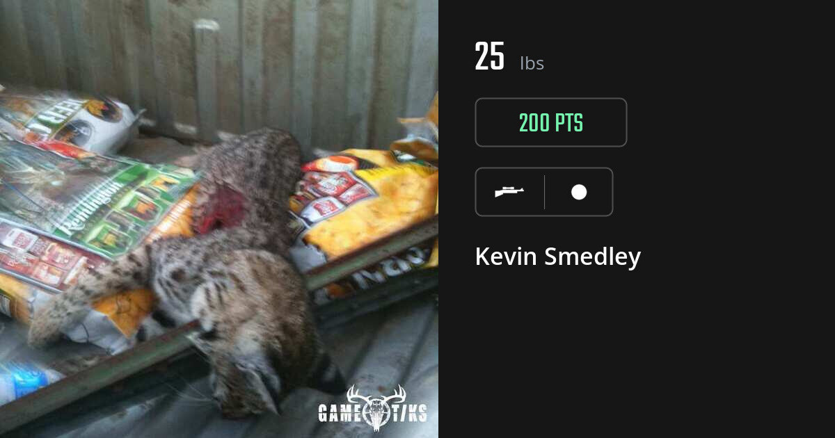 miscellaneous harvest by Kevin Smedley