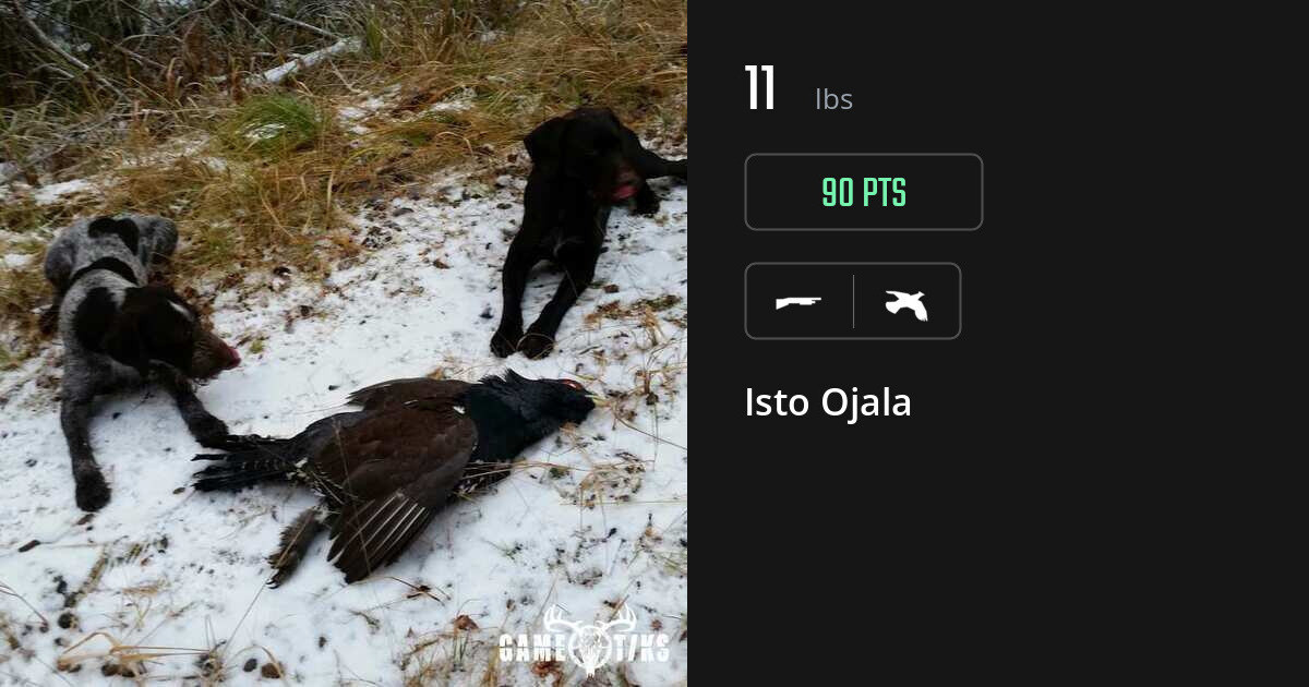 Upland bird harvest on Gametiks