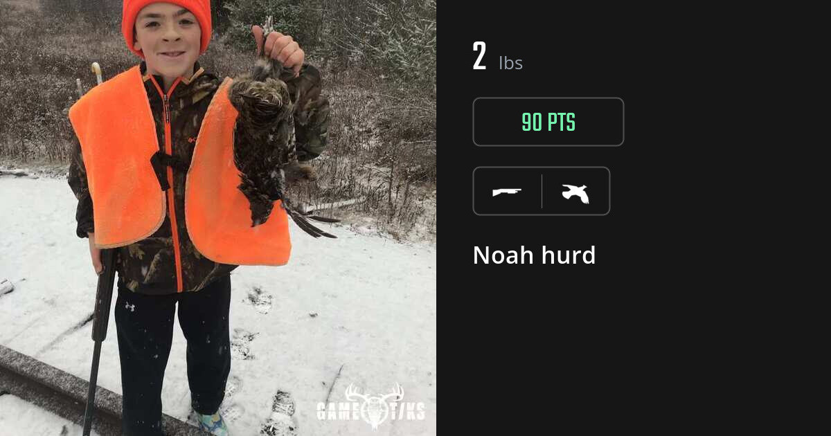 Upland bird harvest on Gametiks