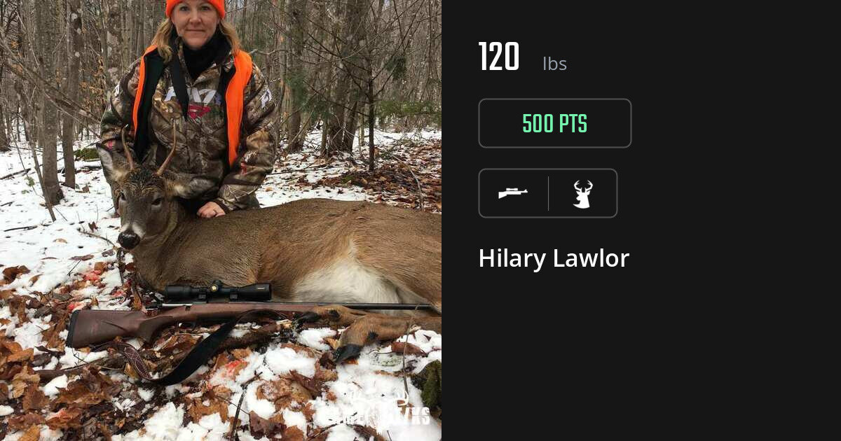 deer harvest by Hilary Lawlor