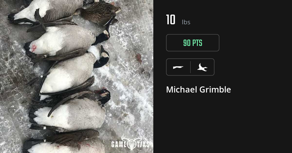 Waterfowl harvest on Gametiks