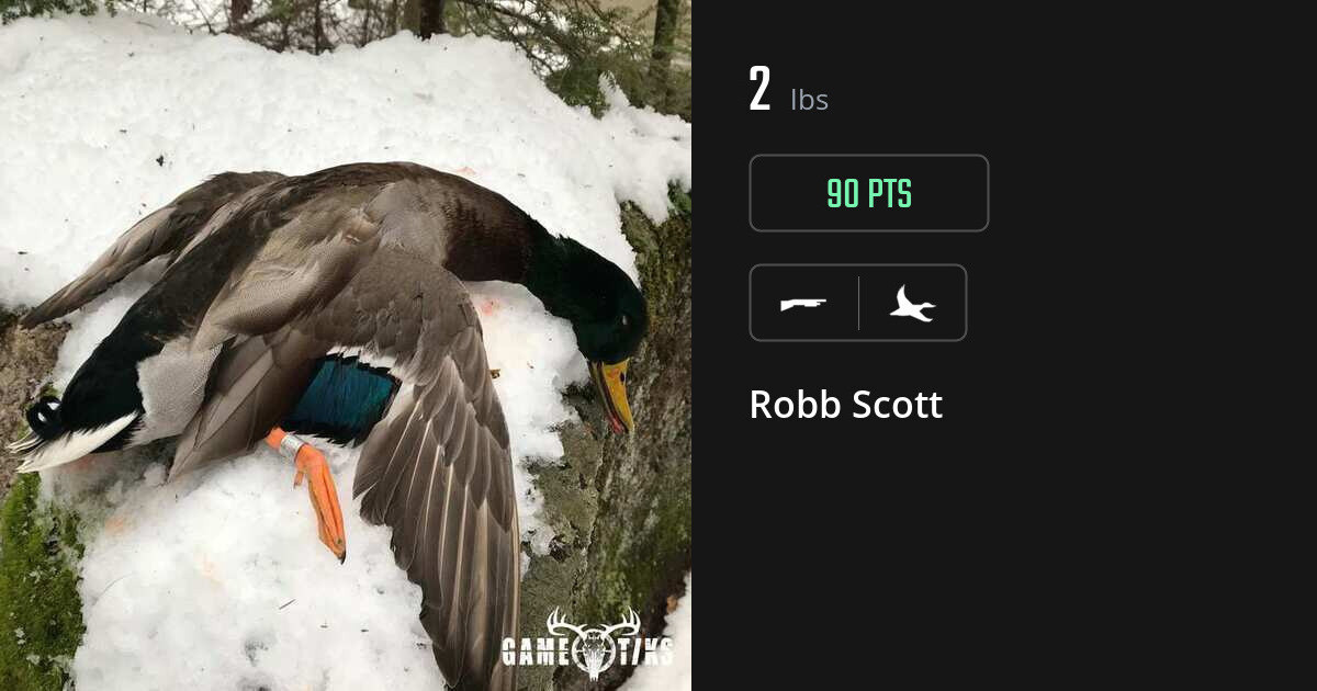 Waterfowl harvest on Gametiks