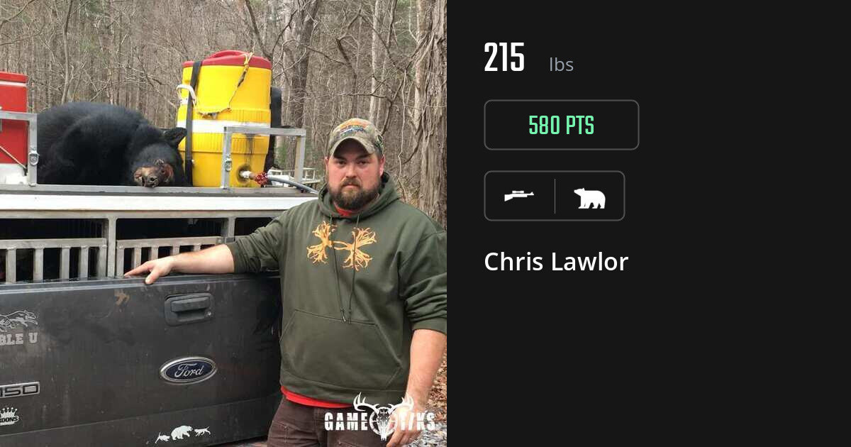 bear harvest by Chris Lawlor