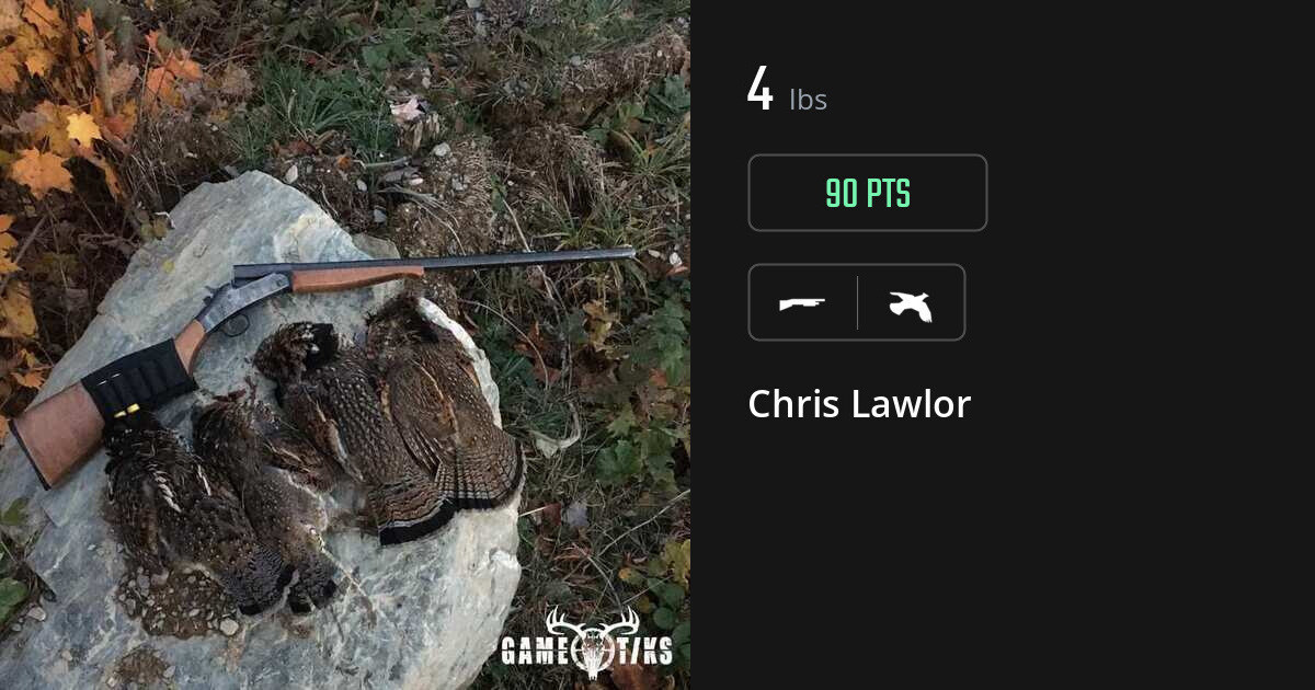 upland_bird harvest by Chris Lawlor