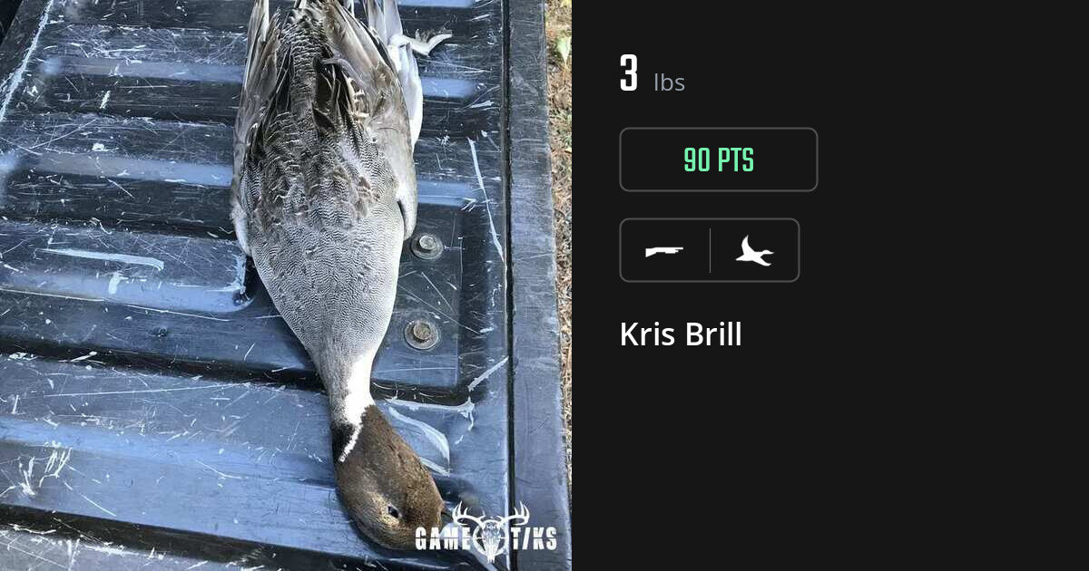 Waterfowl harvest on Gametiks