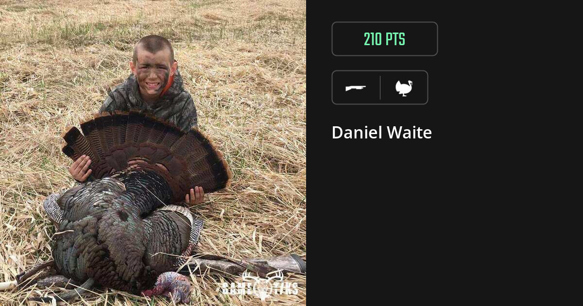 Turkey harvest on Gametiks