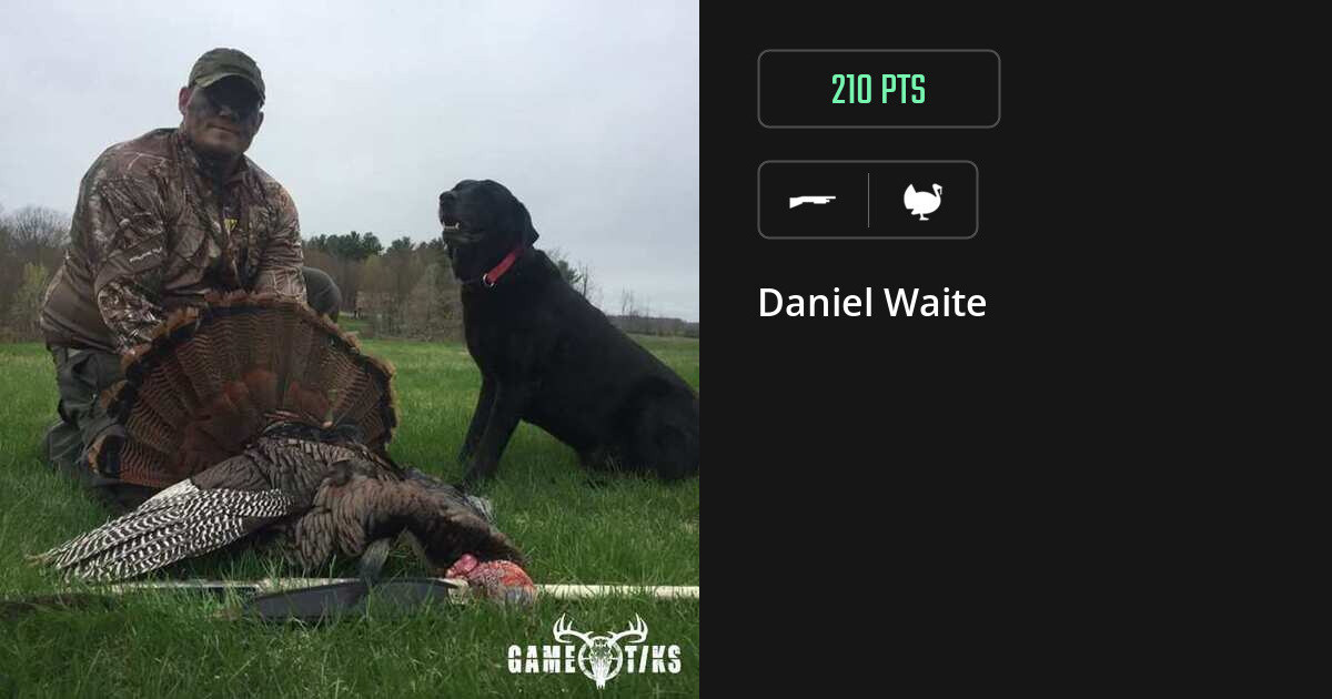 Turkey harvest on Gametiks