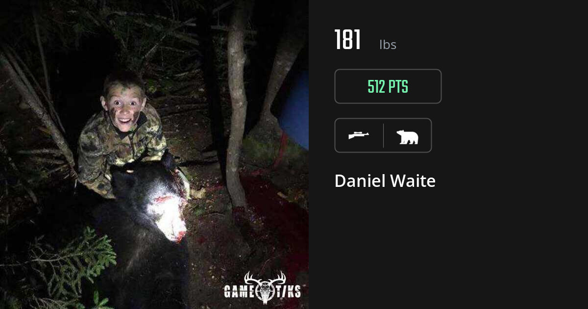 Bear harvest on Gametiks
