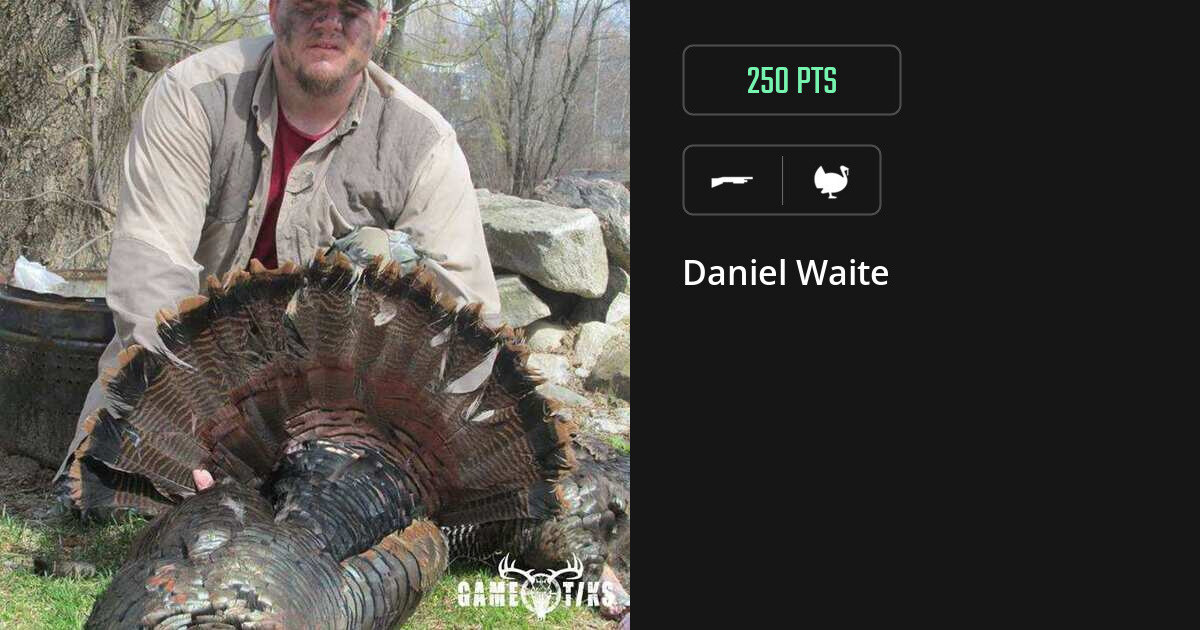 Turkey harvest on Gametiks