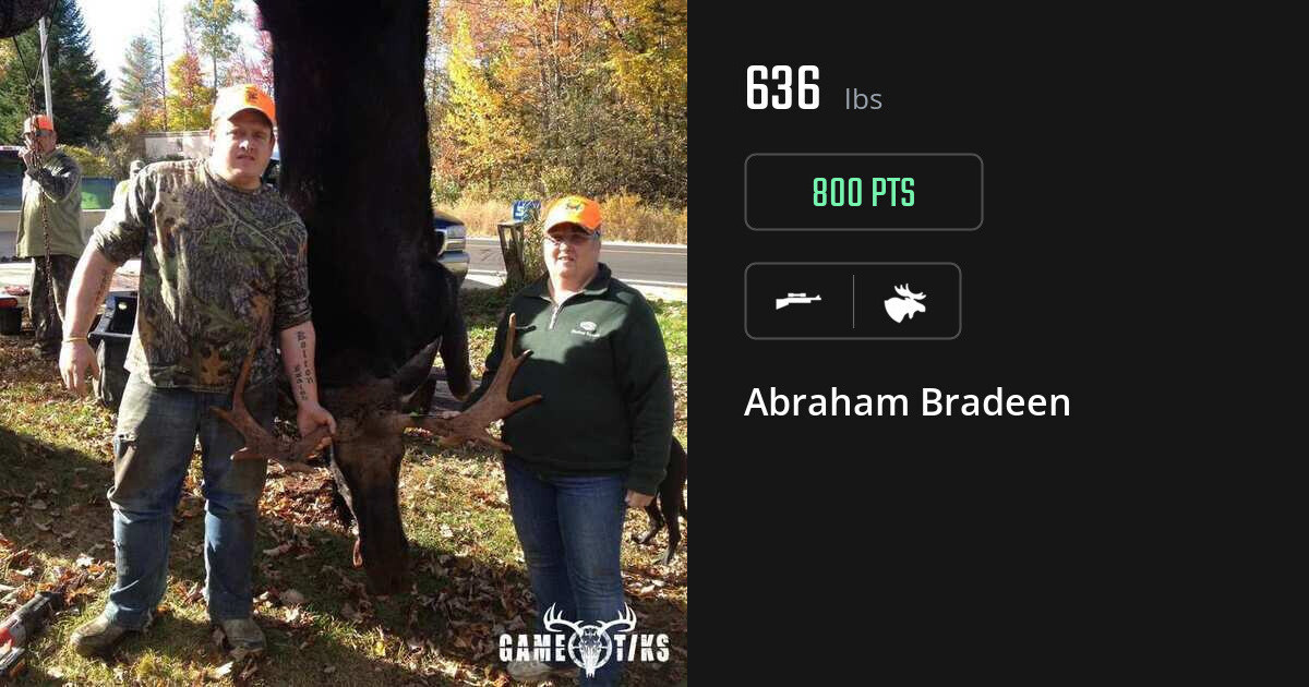 Moose harvest on Gametiks