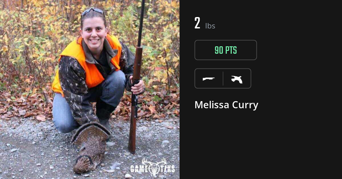 Upland bird harvest on Gametiks