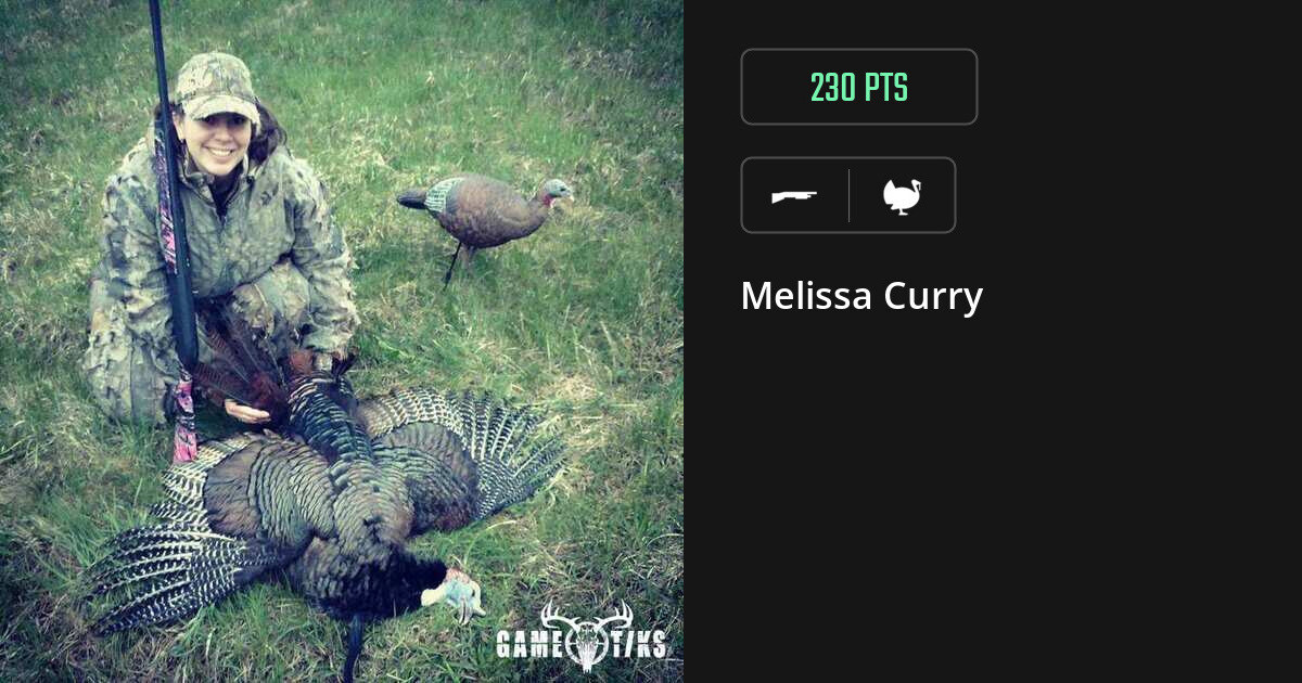 Turkey harvest on Gametiks