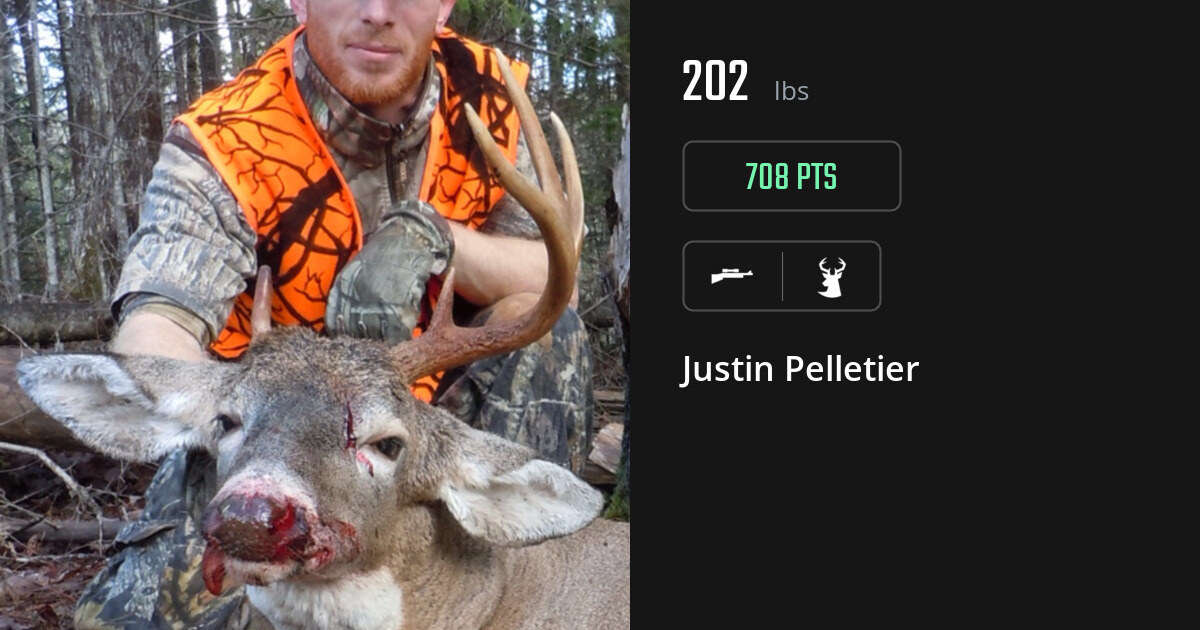 deer harvest by Justin Pelletier
