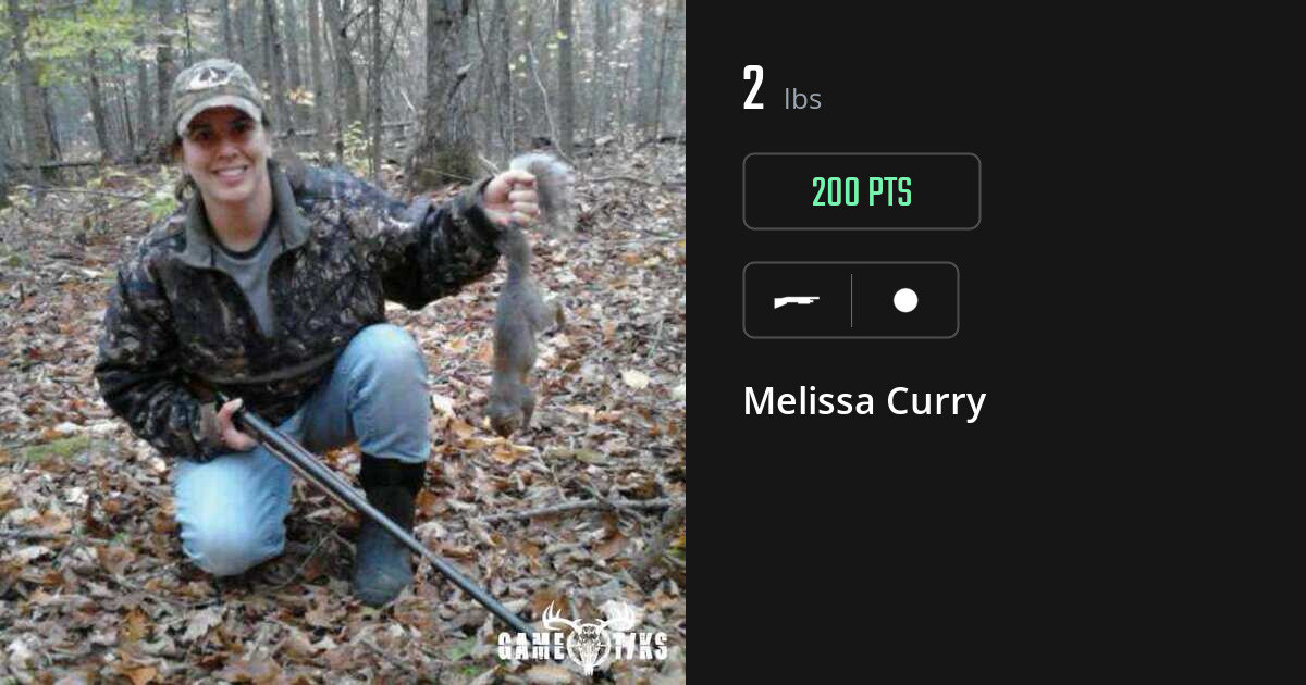 miscellaneous harvest by Melissa Curry