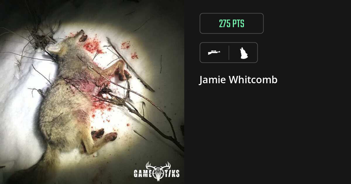 canine harvest by Jamie Whitcomb