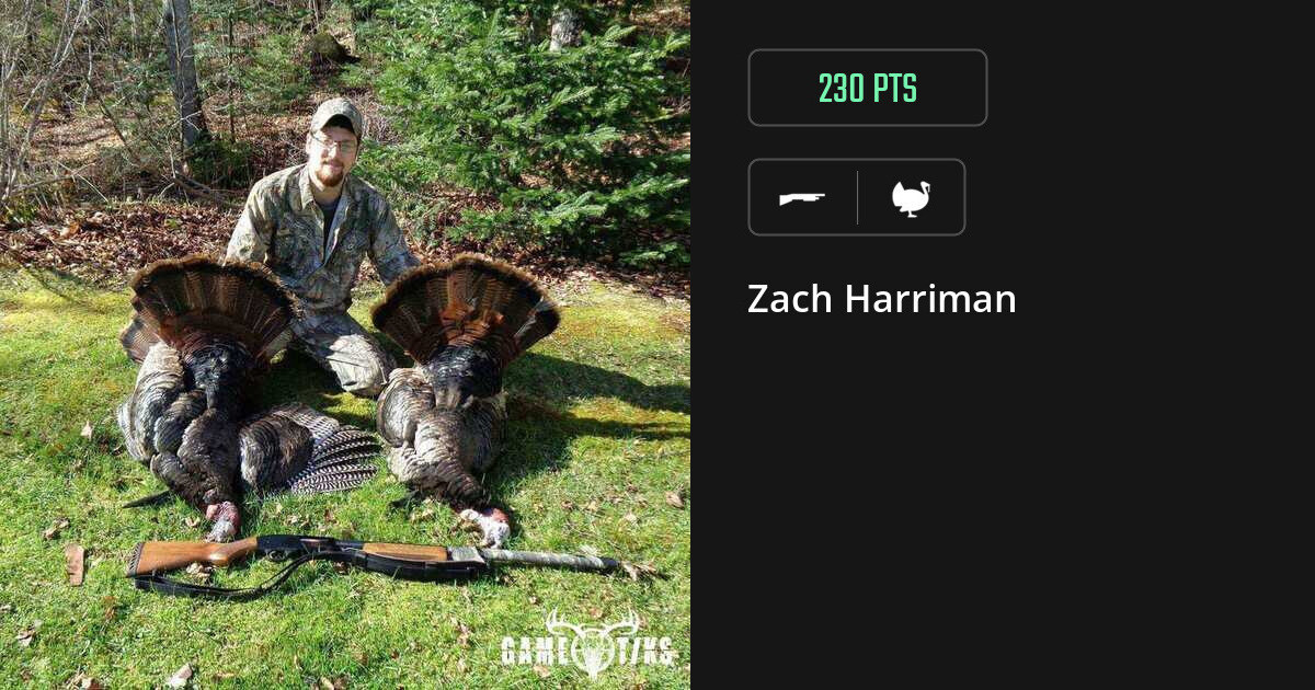 Turkey harvest on Gametiks
