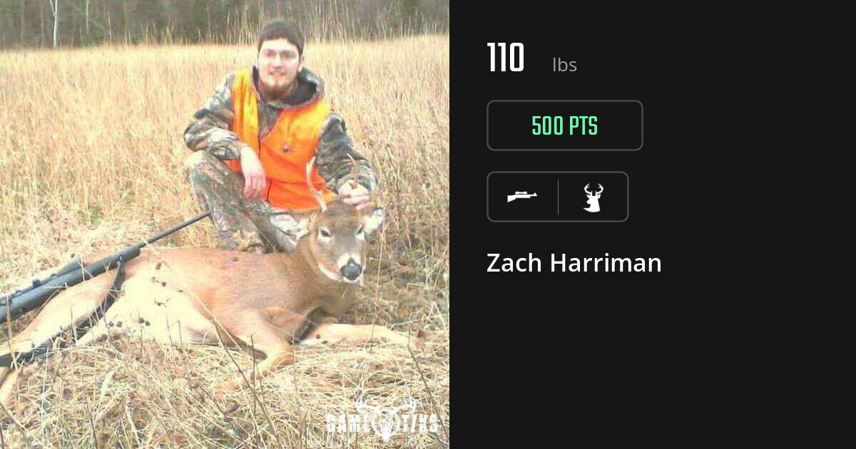 Deer harvest on Gametiks