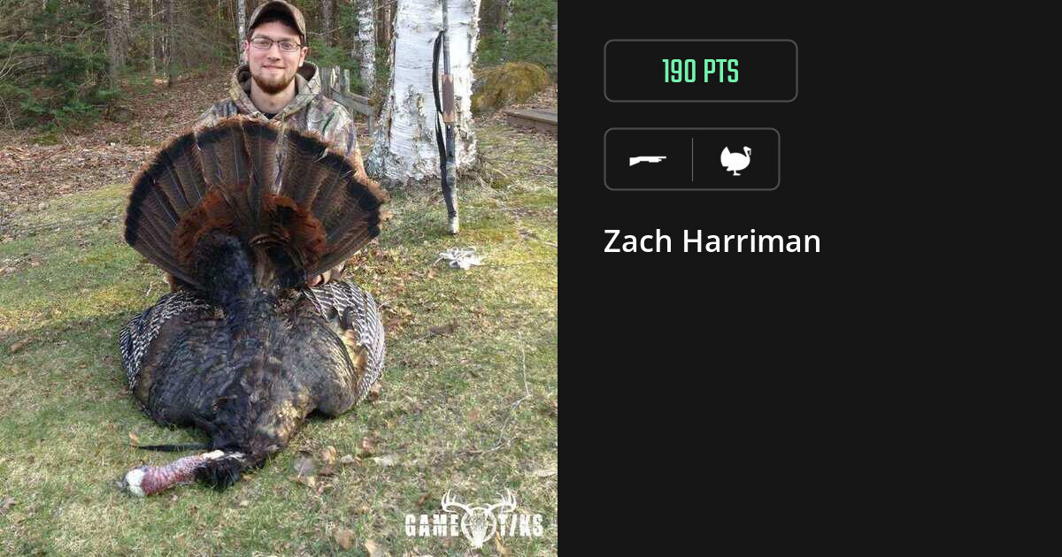 Turkey harvest on Gametiks