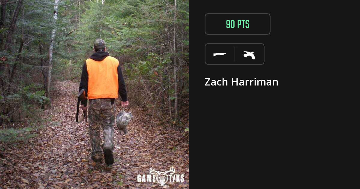 Upland bird harvest on Gametiks