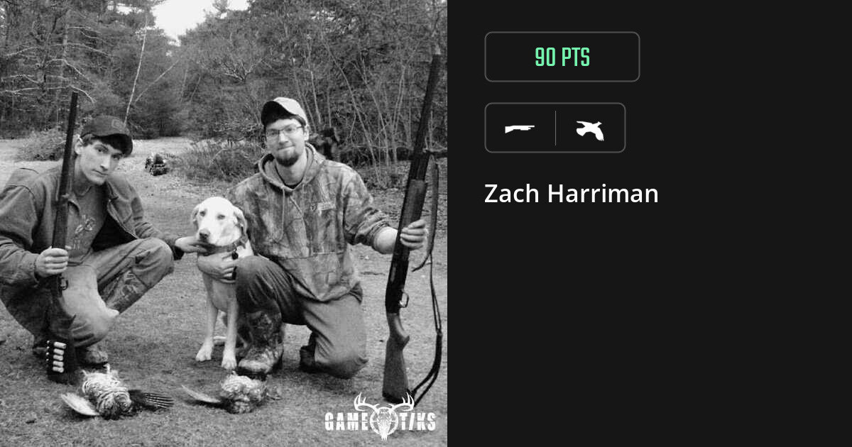 Upland bird harvest on Gametiks