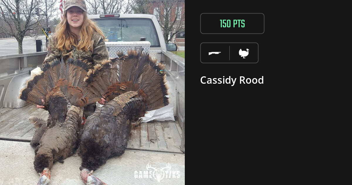 turkey harvest by Cassidy Rood