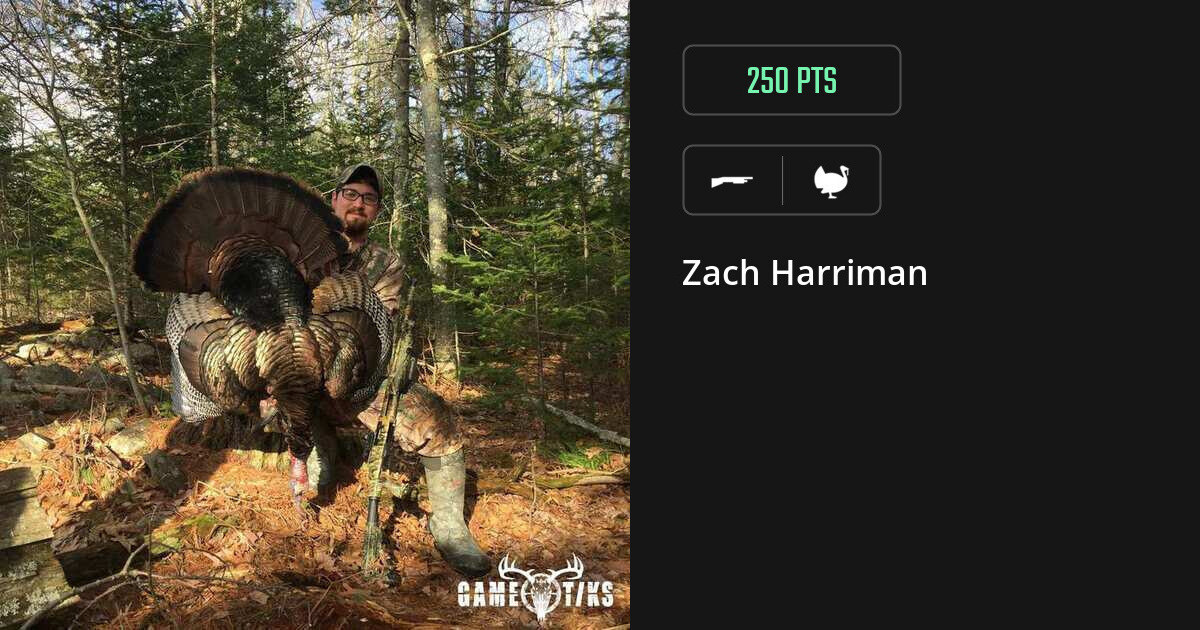 Turkey harvest on Gametiks