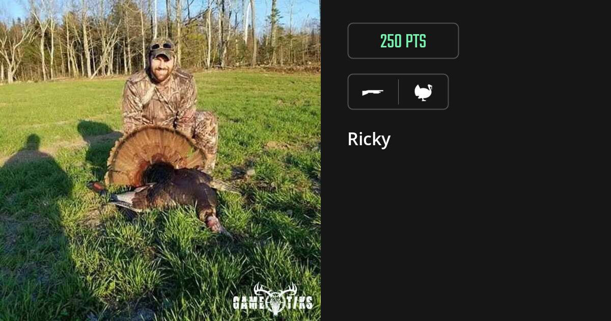 turkey harvest by Ricky
